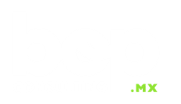 BOP Consulting .MX